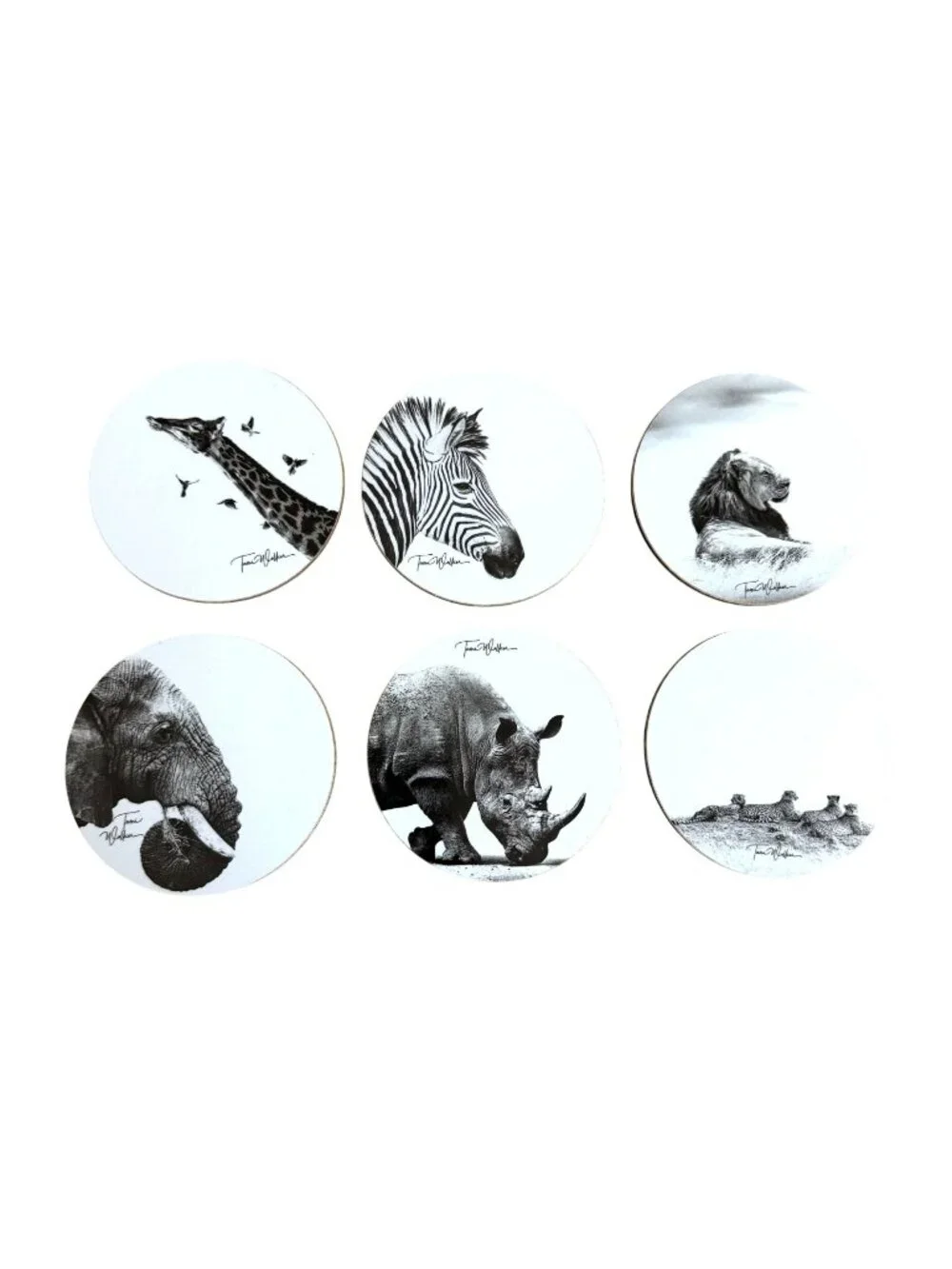 Tami Walker Wildlife Coasters Set 6 Round Animal Photography Safari Art Decor